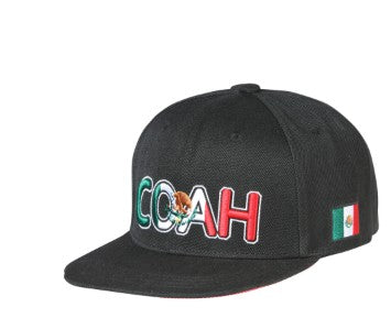 EL GENERAL Men's Mexico Flag Color Embroidery Flat Bill Cap