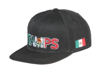 EL GENERAL Men's Mexico Flag Color Embroidery Flat Bill Cap